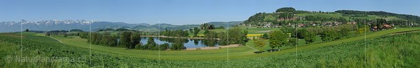P009792f: Panoramafoto Kulturlandschaft am Gerzensee