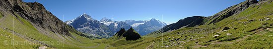 P010492: Panoramabild Berner Alpen von Grindelwald First