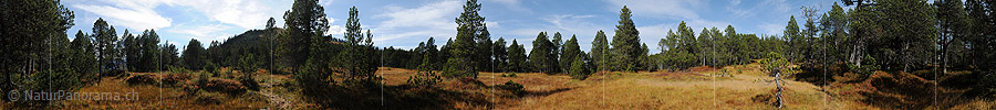 P010741a: Panorama Moorlandschaft
