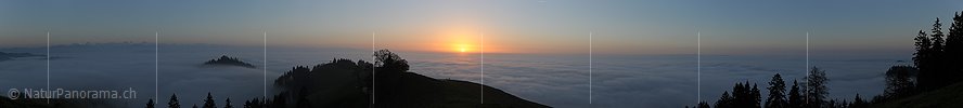 P010825: Panoramabild Sonnenuntergang und Nebelmeer