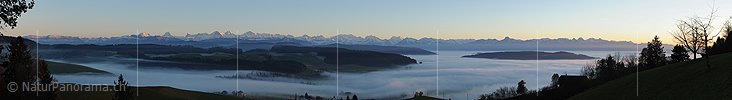 P010959: Panoramabild Abendstimmung mit Nebelmeer