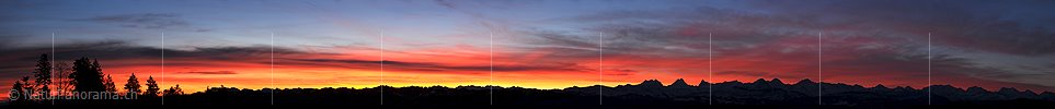 P011066: Panoramafoto Morgenstimmung über den Berner Alpen