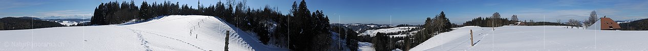 P012173: 360° Panoramabild Hammegg