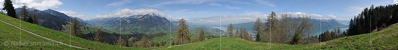 P012449: Panoramabild Kandertal, Niesen und Thunersee von Aeschiried