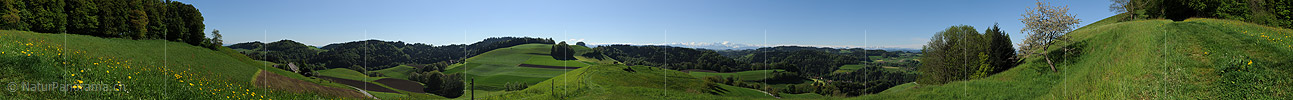 P012565: 360° Panoramafoto Oberbüelchnubel