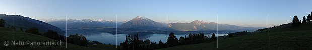 P012761: Panorama Morgenstimmung über der Thunerseeregion