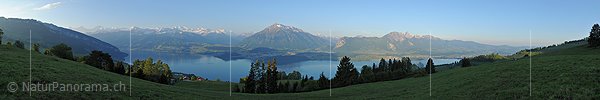 P012764: Hochauflösendes Panorama Morgenstimmung über der Thunerseeregion