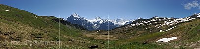 P013034: Panoramafoto Almwiesen oberhalb Grindelwald