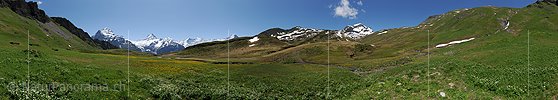 P013036: Panoramafoto Grüne Hochebene vor Berner Hochalpen