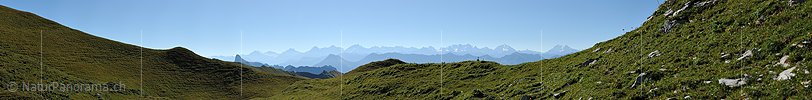 P013538: Panoramabild Konturen der Berner Alpen