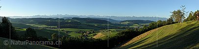 P013542: Panoramafoto Emmentaler Hügellandschaft im Morgenlicht
