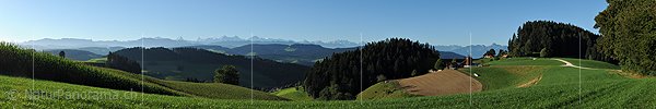 P013552: Panoramafoto Hügellandschaft vor Alpenkette