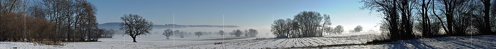 P014012: Panoramafoto Einzelbäume und Baumgruppen im aufkommenden Nebel