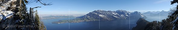 P014117: Panoramafoto Rigi und Vierwaldstättersee vom Bürgenstock