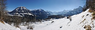 P014148: Panoramafoto Urner Alpen und Urnersee