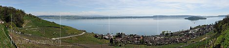 P014379: Panoramafoto Bielersee und Twann