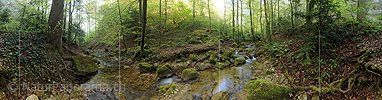 P014432: 360° Gigapixel-Panoramafoto Bach im Frühlingswald (Langzeitbelichtung)