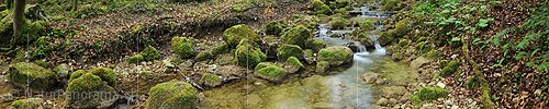 P014432a: Panoramafoto Bach im Frühlingswald (Langzeitbelichtung)