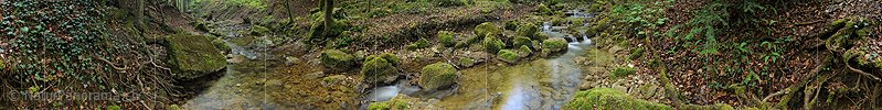 P014432b: 360° Panoramafoto Bach im Frühlingswald (Langzeitbelichtung)