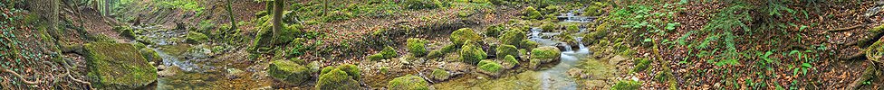 P014432c: Langes Panoramafoto Bach im Frühlingswald (Langzeitbelichtung)