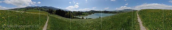 P014462: 360° Panoramafoto Lac de la Gruyère (Greyerzersee)