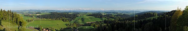 P014516: Grosses Panoramafoto Emmentaler Hügellandschaft und Berner Alpen von der Lueg