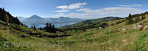 P015213: Panoramafoto Sigriswil, Niesen und Thunersee