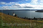 P015419a: Grossfoto Rebberge bei Ligerz (Bielersee)