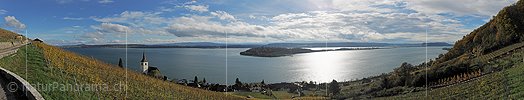 P015420: Panoramafoto Rebberge bei Ligerz und Bielersee