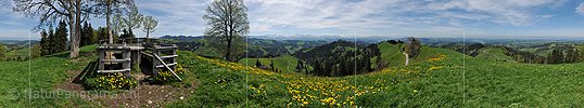 P015433: 360° Panoramafoto Frühlingshafte Hügellandschaft