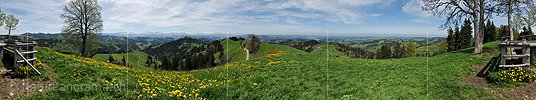 P015433a: 360° Panoramabild Frühlingshafte Hügellandschaft