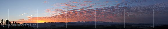 P015446: Panoramafoto Morgenstimmung mit glühenden Wolken über den Berner Alpen