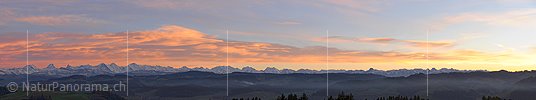 P015607b: Panoramic photo Evening with colored clouds over the Bernese Alps