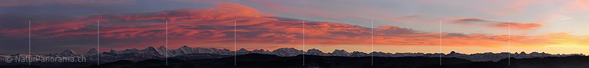 P015611a: Panoramic photo Evening with colored clouds over the Bernese Alps