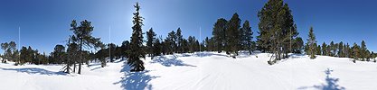 P015807: 360° Panoramafoto Lichter Bergwald in schneebedecktem Hochmoor