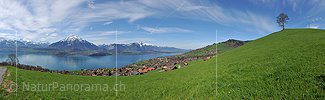 P015885: Panoramafoto Niesen und Thunersee