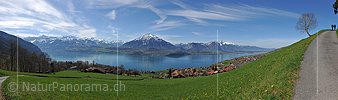 P015887: Panoramafoto Niesen und Thunersee