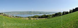 P016041: Panoramafoto Baldeggersee