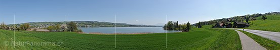 P016043: Panoramafoto Baldeggersee