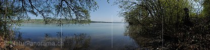 P016045: Panoramafoto Am Ufer des Baldeggersees