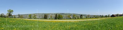 P016048: Panoramafoto Frühling am Baldeggersee