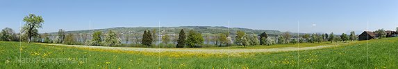 P016048a: Panorama Frühling am Baldeggersee