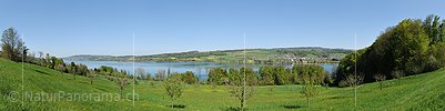 P016051: Panoramafoto Hallwilersee bei Beinwil am See