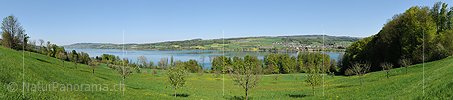 P016051a: Panoramafoto Hallwilersee bei Beinwil am See
