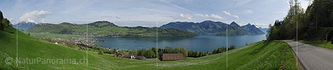 P016073a: Panoramafoto Vierwaldstättersee bei Buochs/Ennetbürgen