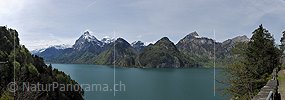 P016083: Panoramafoto Urnersee und Uri-Rotstock