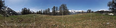 P016144: 360° Panoramafoto Krokuswiese in unberührter Berglandschaft