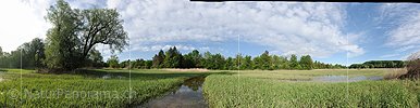 P016162c: Panoramafoto Geflutete Riedlandschaft an der Aare