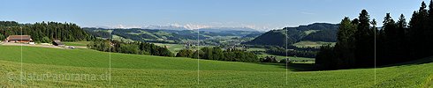 P016255: Panoramafoto Grüne Hügellandschaft vor Alpenpanorama
