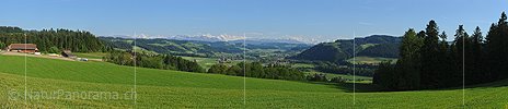 P016255b: Panoramafoto Grüne Hügellandschaft vor Alpenpanorama